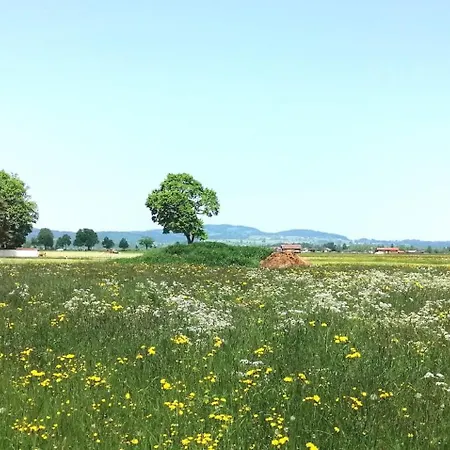 Garni Schlossblick Гостевой дом Хоэншвангау